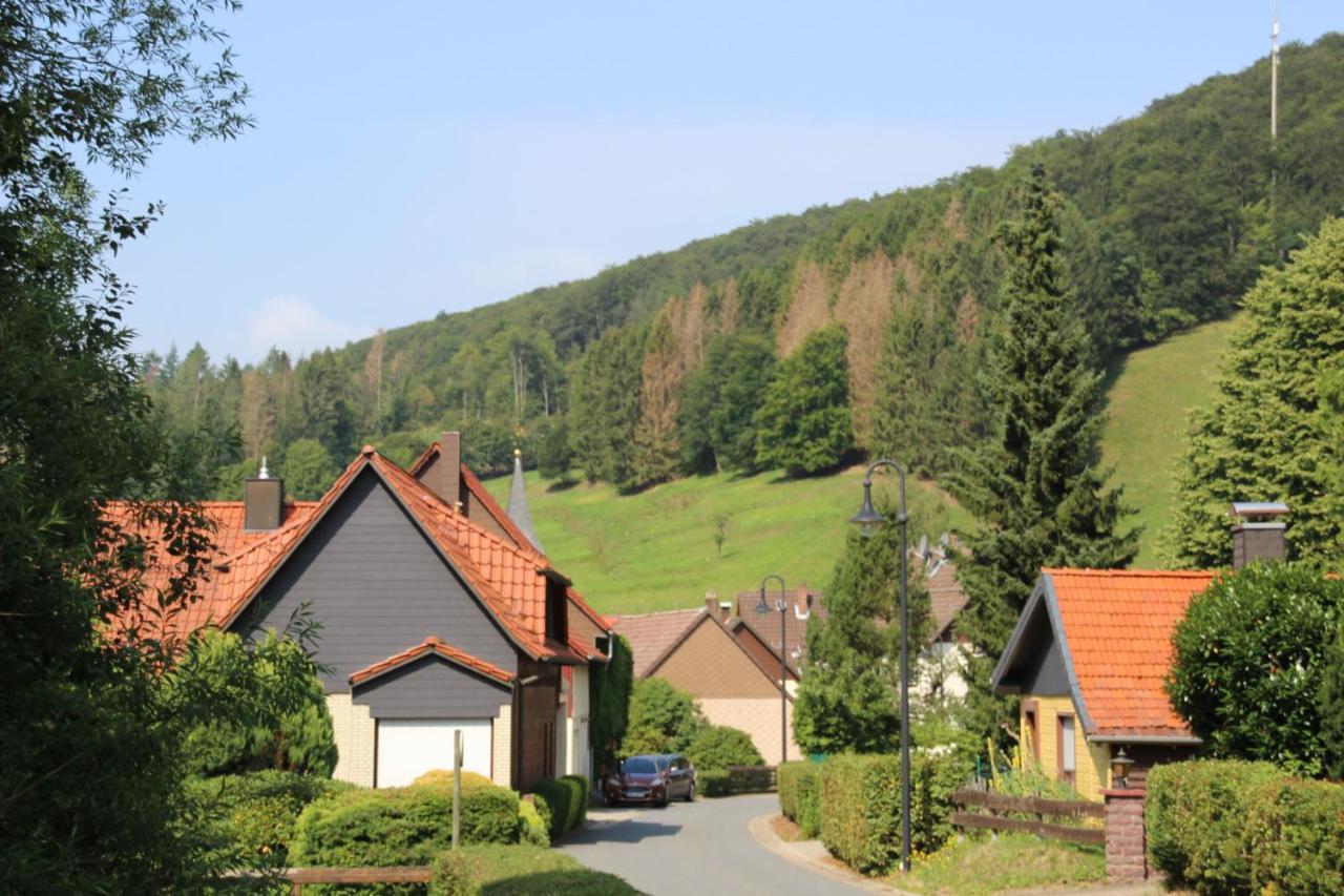 Haus Hirtenbergblick Lonau Εξωτερικό φωτογραφία