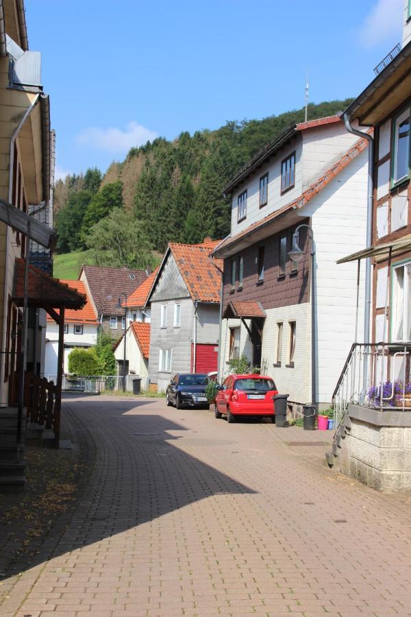 Haus Hirtenbergblick Lonau Εξωτερικό φωτογραφία