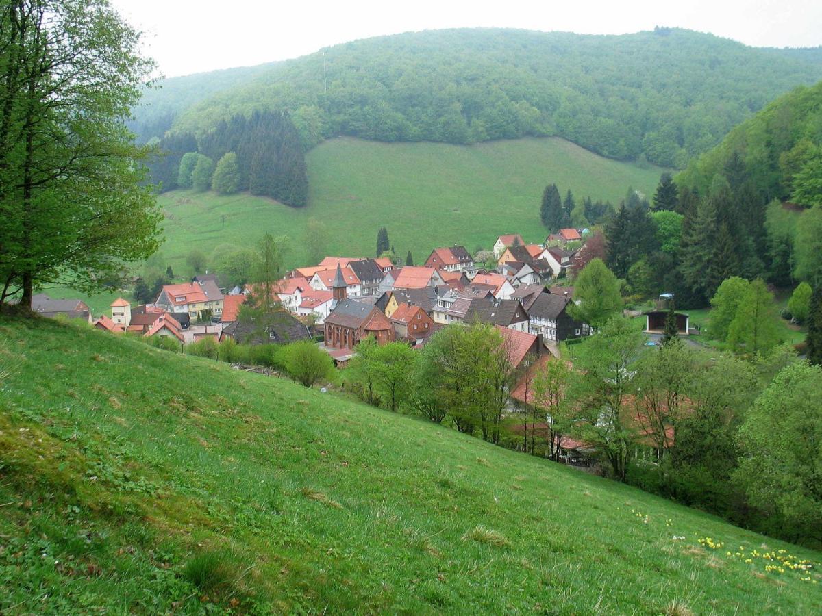 Haus Hirtenbergblick Lonau Εξωτερικό φωτογραφία